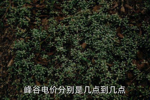峰谷電價時段，電價峰谷時間