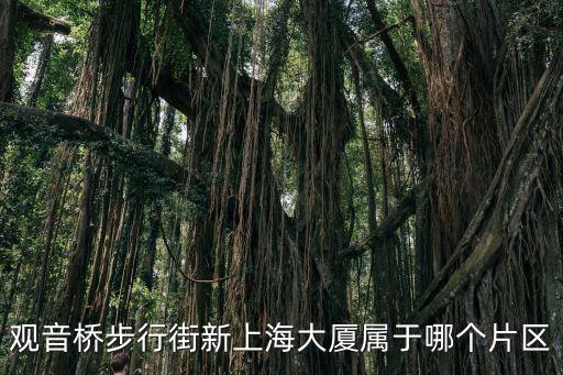 觀音橋步行街新上海大廈屬于哪個(gè)片區(qū)