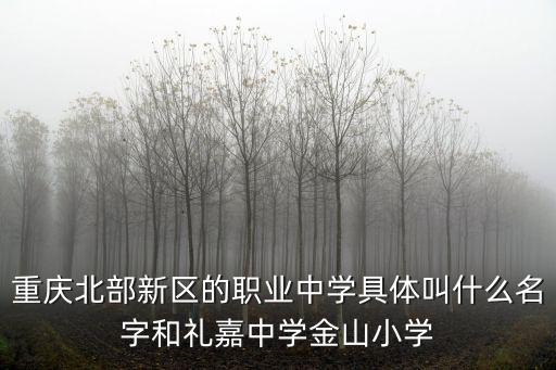 重慶北部新區的職業中學具體叫什么名字和禮嘉中學金山小學