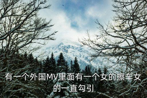 有一個外國MV里面有一個女的擦車女的一直勾引
