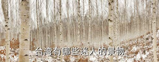 臺灣風景，臺灣有什么風景優美的地方