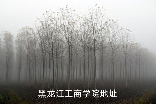 哈爾濱工商學院，哈爾濱工商職業學院