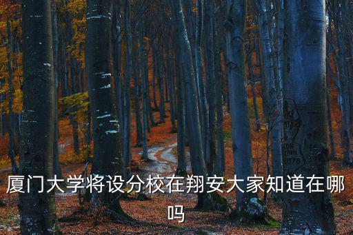 廈門大學翔安校區，廈大翔安校區具體位置