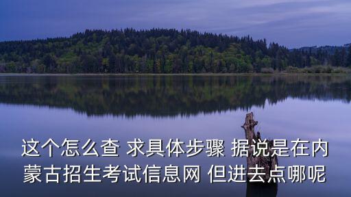 這個怎么查 求具體步驟 據說是在內蒙古招生考試信息網 但進去點哪呢