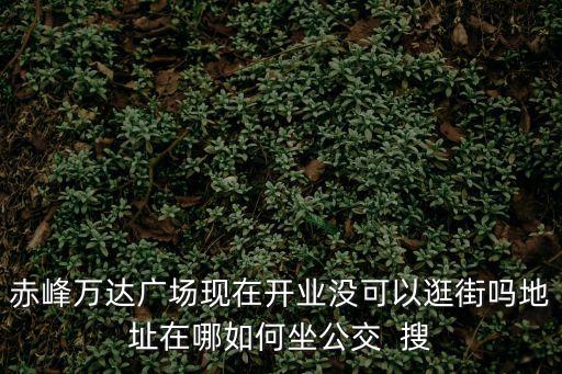 赤峰萬達廣場現在開業沒可以逛街嗎地址在哪如何坐公交  搜