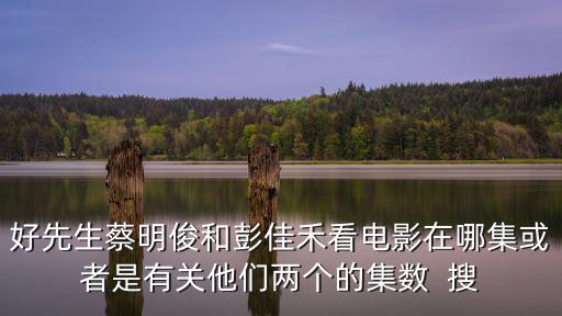 好先生分集劇情，好先生劇情介紹陸遠去后廚做牛排是哪一集