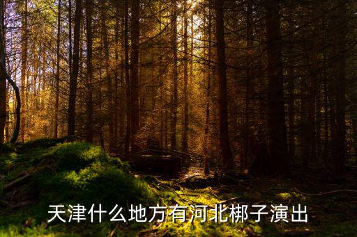 河北梆子名段演唱會，河北梆子名段有名角有