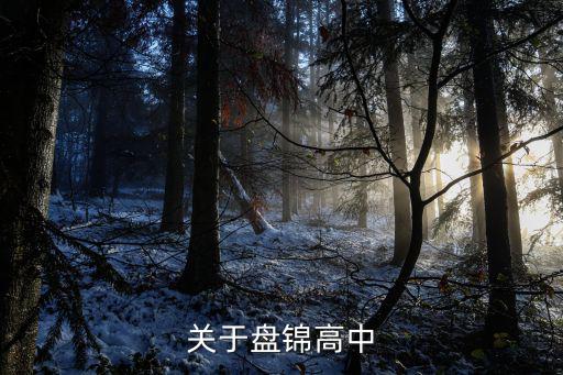 關于盤錦高中