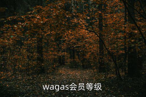 wagas，wagas健康米是什么