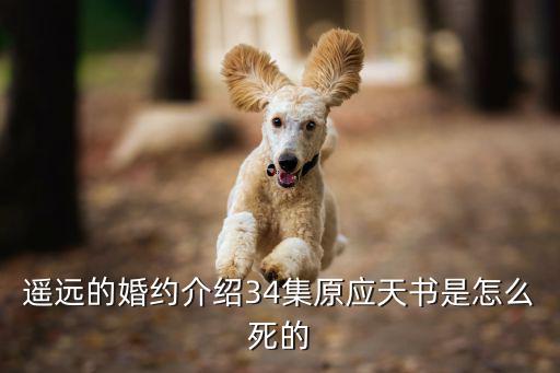 遙遠的婚約大結局，遙遠的婚約介紹34集原應天書是怎么死的