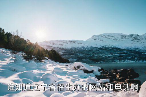 遼寧招生網(wǎng)，誰知道遼寧省招生辦的網(wǎng)站和電話啊