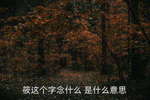筱這個(gè)字念什么 是什么意思