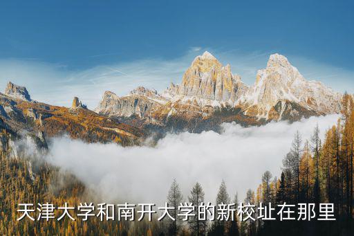 天津大學新校區，天津大學和南開大學的新校址在那里