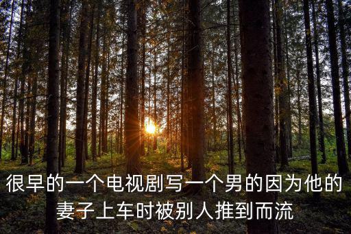 很早的一個電視劇寫一個男的因為他的妻子上車時被別人推到而流