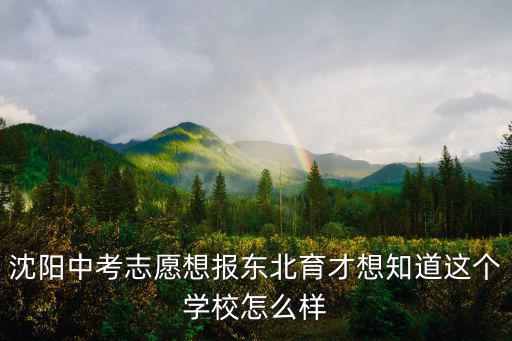 東北育才學校，沈陽中考志愿想報東北育才想知道這個學校怎么樣