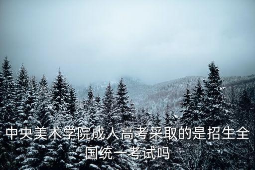 成人高等學校招生全國統一考試，中央美術學院成人高考采取的是招生全國統一考試嗎