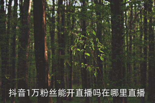 周深在哪里直播，大嘴哈哈在哪里直播