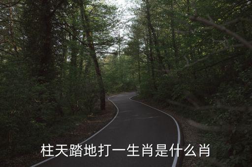柱天踏地打一生肖是什么肖