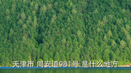 天津市 同安道981號 是什么地方