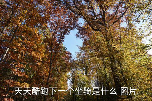 天天酷跑下一個(gè)坐騎是什么 圖片