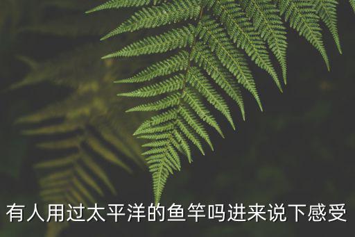 有人用過太平洋的魚竿嗎進(jìn)來說下感受