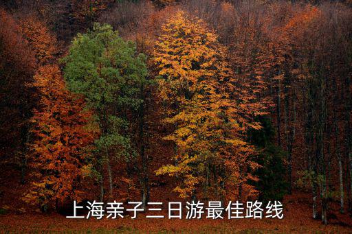親子游線路，上海親子旅游去哪里好親子旅游線路
