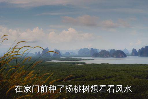 在家門前種了楊桃樹想看看風水