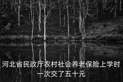 河北省民政廳農村社會養老保險上學時一次交了五十元