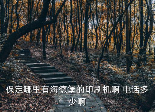 保定哪里有海德堡的印刷機啊 電話多少啊