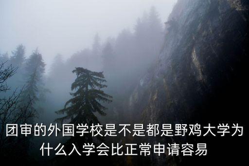 團審的外國學(xué)校是不是都是野雞大學(xué)為什么入學(xué)會比正常申請容易