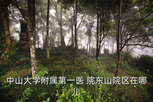 東山醫院，太原東山有個什么醫院