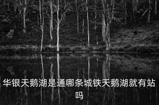 華銀天鵝湖是通哪條城鐵天鵝湖就有站嗎