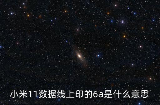 小米11數(shù)據(jù)線上印的6a是什么意思