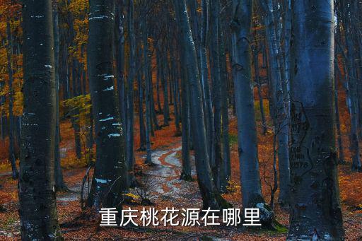 重慶桃花源，重慶酉陽桃花源怎么樣好玩么