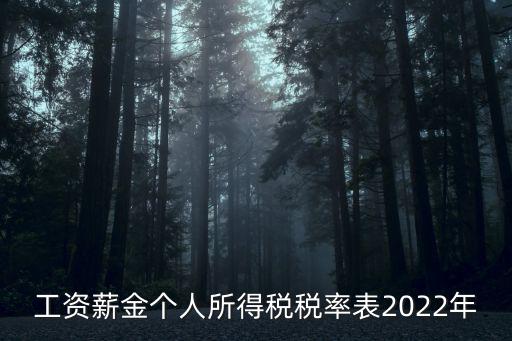 個人所得稅表，個人所得稅基礎信息表