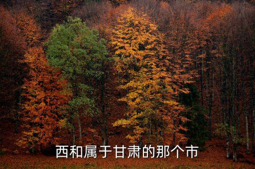 隴南西和縣，甘肅有幾個(gè)西和縣