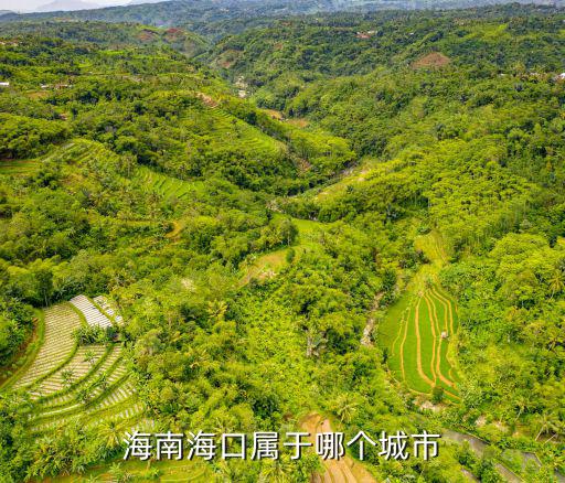 海南省海口市，海南省海口市 有哪些縣
