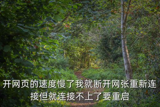 開網頁的速度慢了我就斷開網張重新連接但就連接不上了要重啟