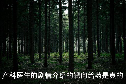 產(chǎn)科醫(yī)生的劇情介紹的靶向給藥是真的