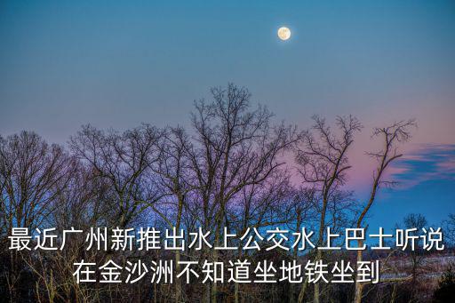水上巴士，溫州水上巴士的介紹