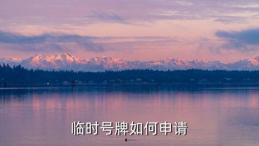 臨時號牌如何申請