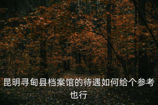 昆明尋甸縣檔案館的待遇如何給個參考也行