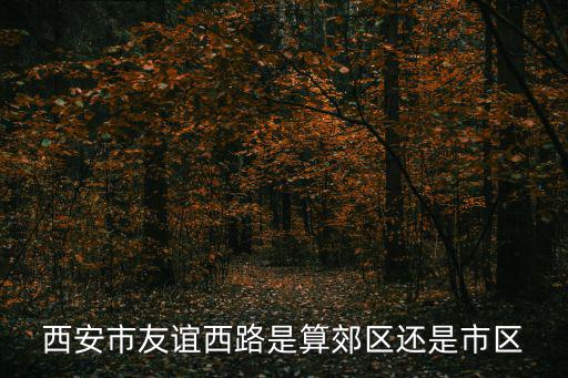 西安市友誼西路是算郊區(qū)還是市區(qū)