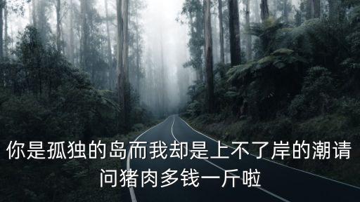 你是孤獨的島而我卻是上不了岸的潮請問豬肉多錢一斤啦