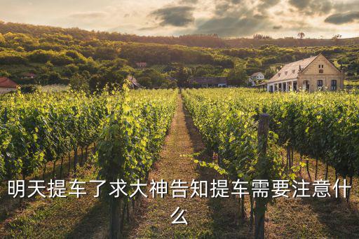 明天提車了求大神告知提車需要注意什么