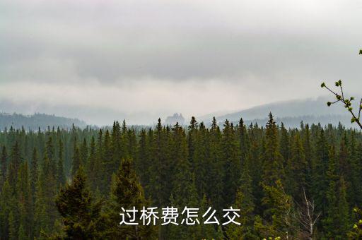 過橋費，過橋費是多少