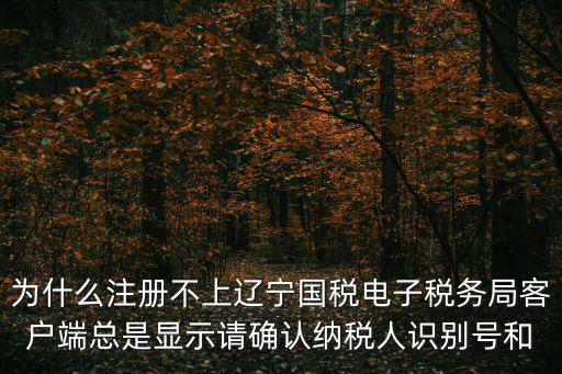 為什么注冊不上遼寧國稅電子稅務局客戶端總是顯示請確認納稅人識別號和