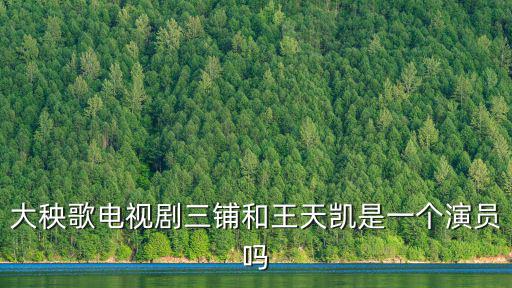 大秧歌電視劇三鋪和王天凱是一個演員嗎