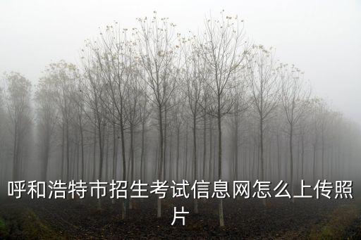 呼和浩特市招生考試信息網(wǎng)怎么上傳照片