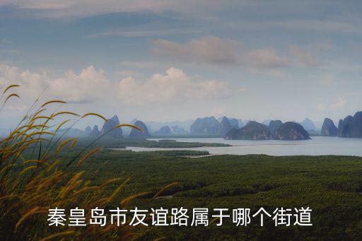 友誼路，武漢友誼路